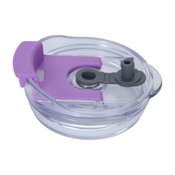 2-in-1 Insulated Stainless Steel Tumbler with Handle and Straw